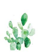 Cactus Watercolor Art | Erstellen Sie Ihr eigenes Plakat