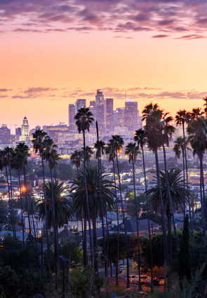 Los Angeles Skyline At Sunset