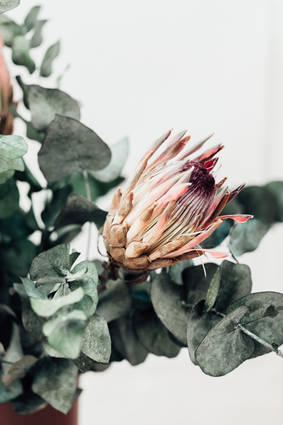 Pretty Dried Pink Flower